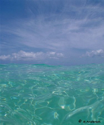 This is where blue meets blue! This photo was taken in Na... by Steven Anderson 